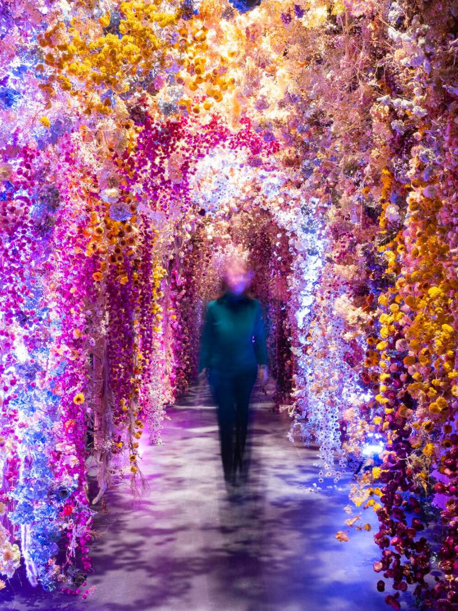 Installation in Rome by Rebecca Louise Law