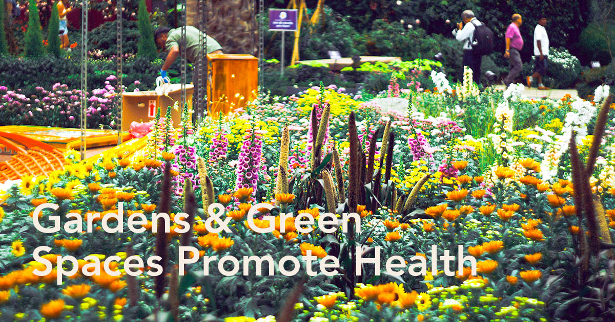 There Is So Much to the Healing Power of Nature and Gardens