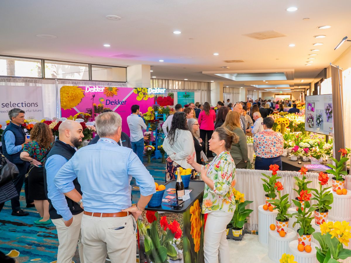 IFPA Floral Confrence in Miami 10 Questions to Colleen Fagundus