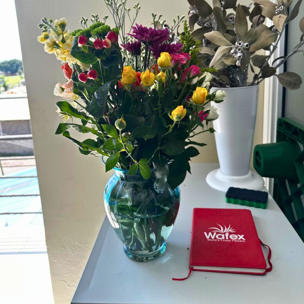Wafex