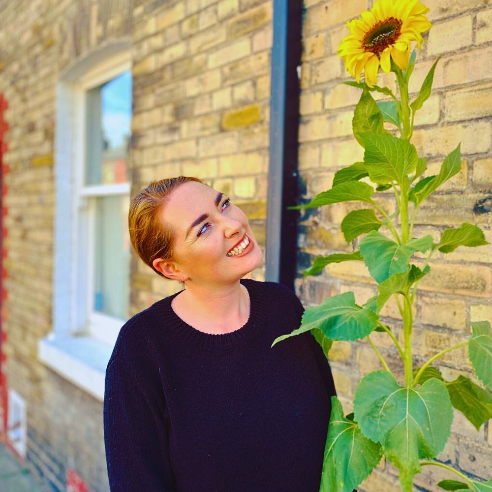 Sunflower For Successful Flowering and Production, Does a Plant’s Height Matter?