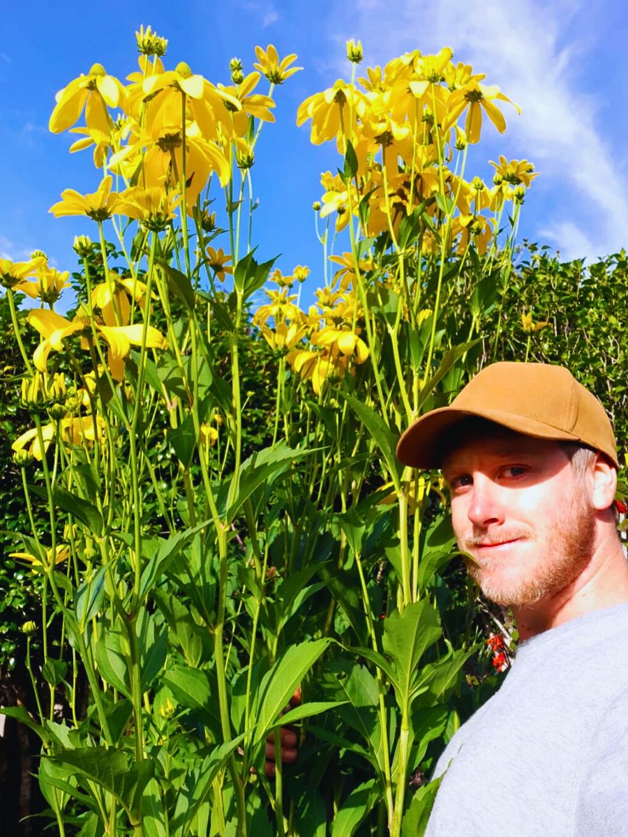 Rudbeckias For Successful Flowering and Production, Does a Plant’s Height Matter?