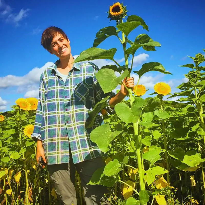 Do Height and Stature Influence Plants’ Flower Production and Reproduction?