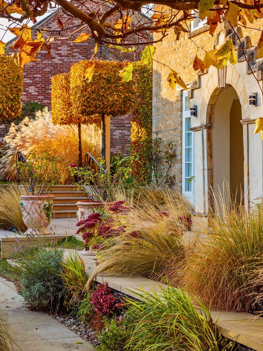 Contemporary garden in fall Contemporary Gardens Offer a Fresh Take on Modern Outdoor Living