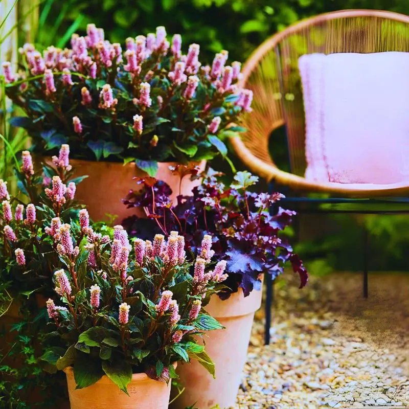 A Fresh Take on Modern Outdoor Living - A Dreamy Contemporary Garden
