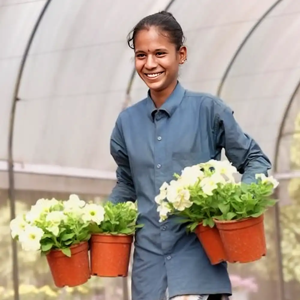 INDAM Seeds breeder on Thursd feature