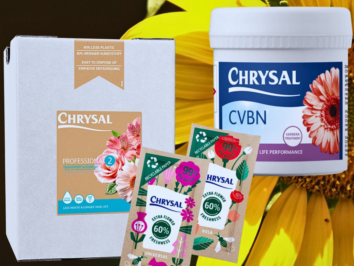 Chrysal’s Professional Care Tips to Keep Your Helianthus Fresher for Days Longer