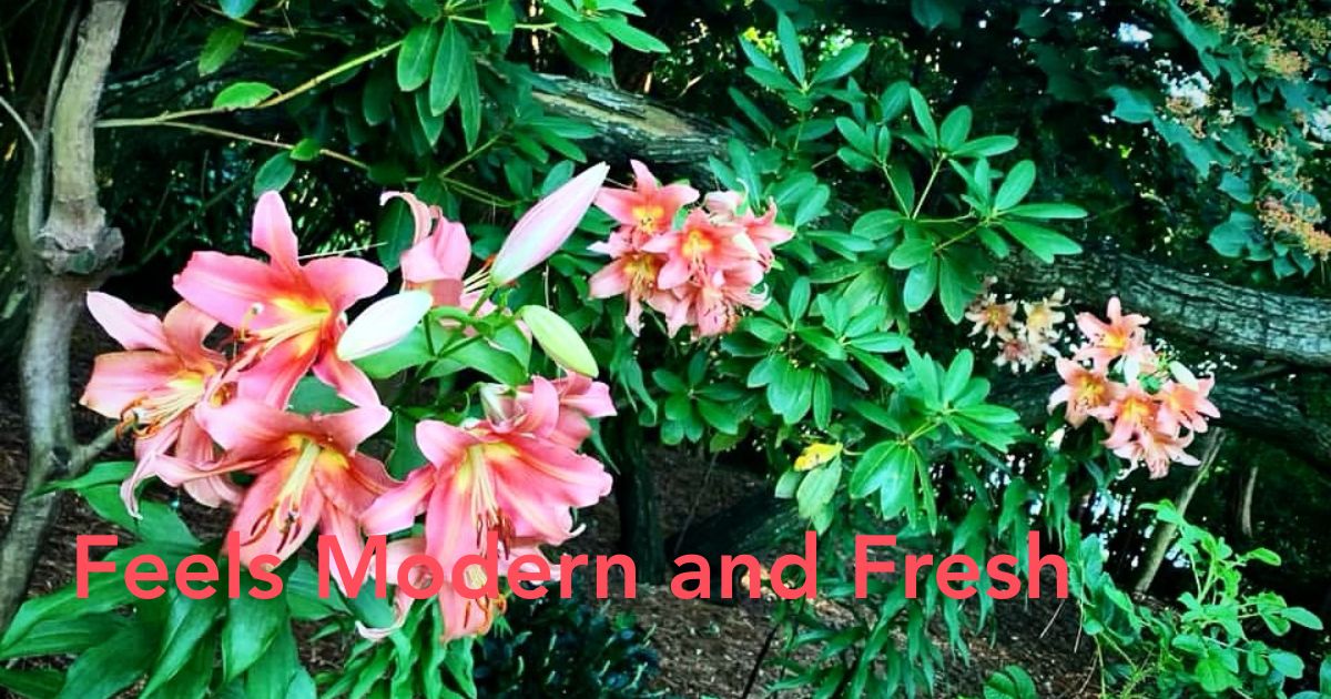 Floral Scent Header Image