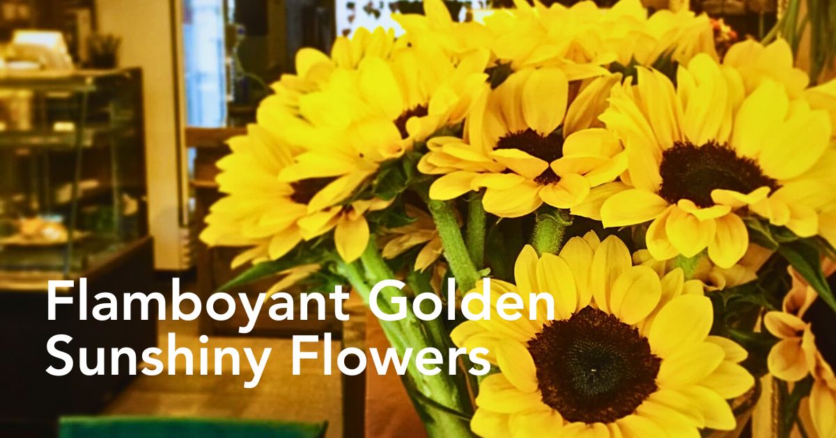 Chrysal’s Professional Care Tips to Keep Your Helianthus Fresher for Days Longer