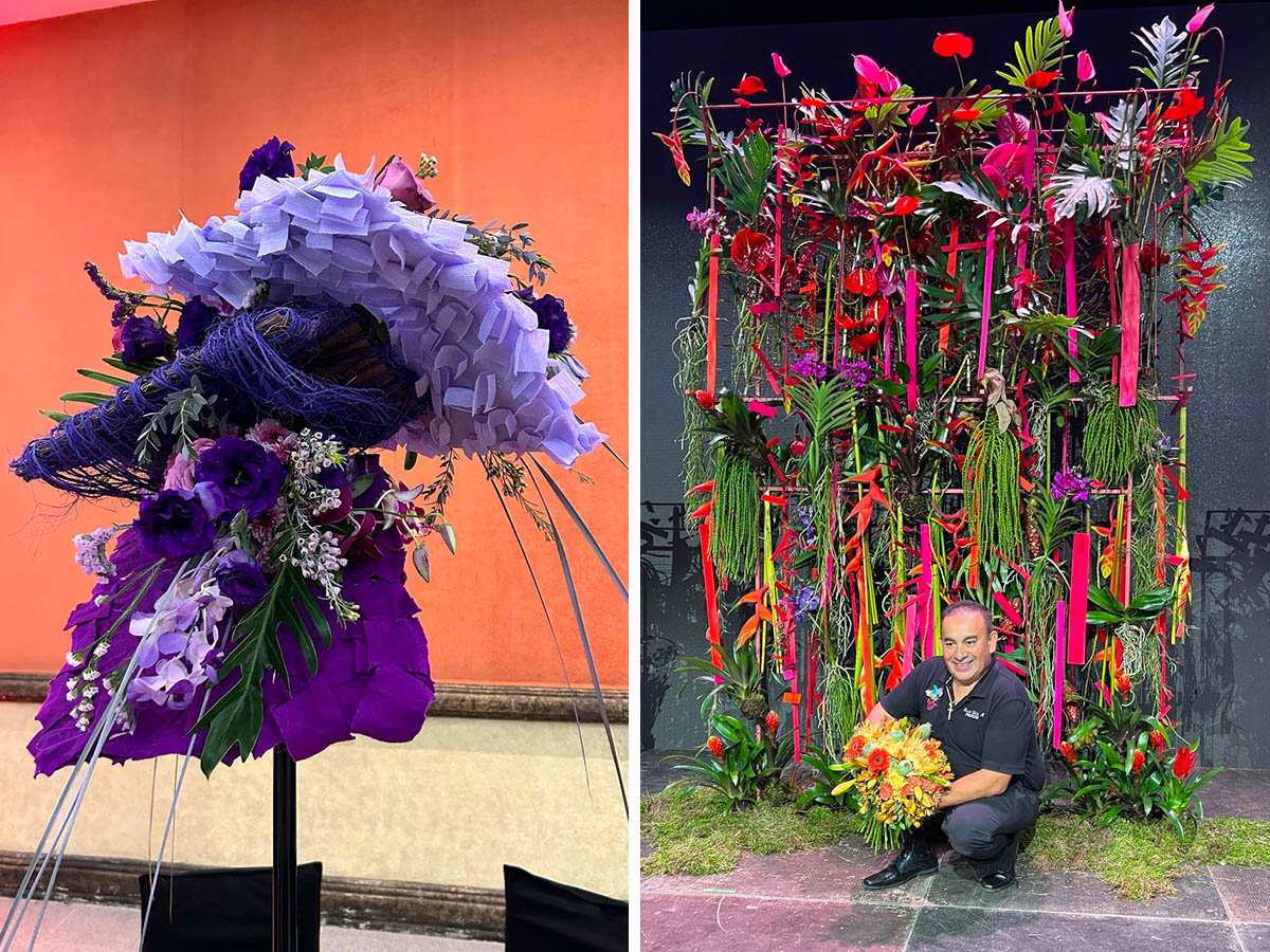 Oscar Villela purple and tropical red designs