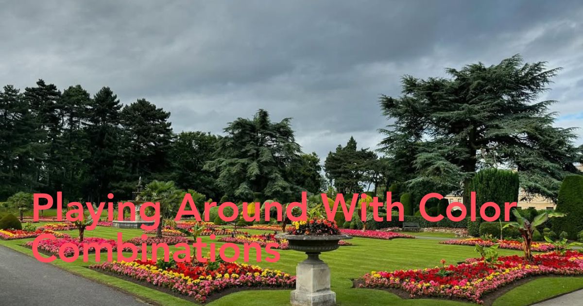 Perfect Flower Layout Header image