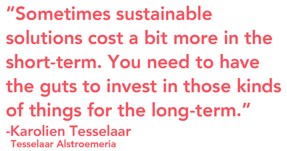 Tesselaar Alstroemeria sustainable growers quote