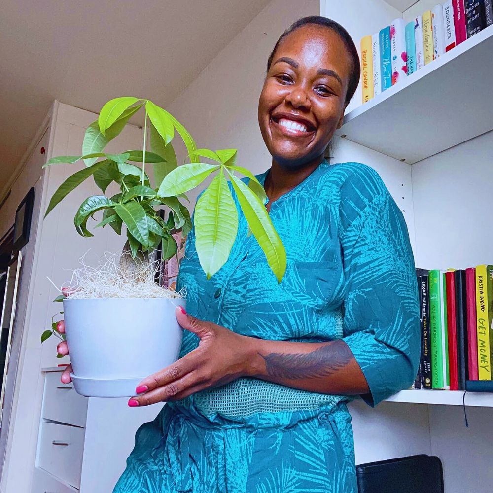 money tree carries good feng shui prominence
