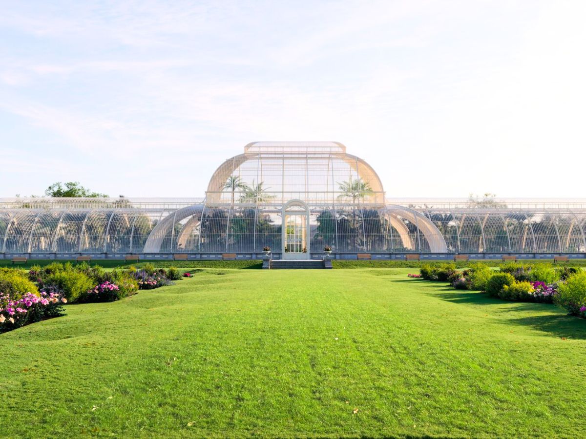 Transparent glasses renewed at Kew Gardens for the future Transparent glasses renewed at Kew Gardens for the future