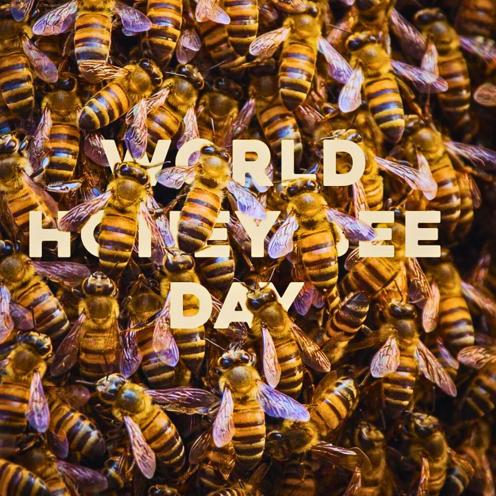 World Honey Bee Day, also known as National Honey Bee Day