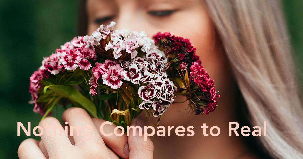 Arnold blog smelling flowers Header