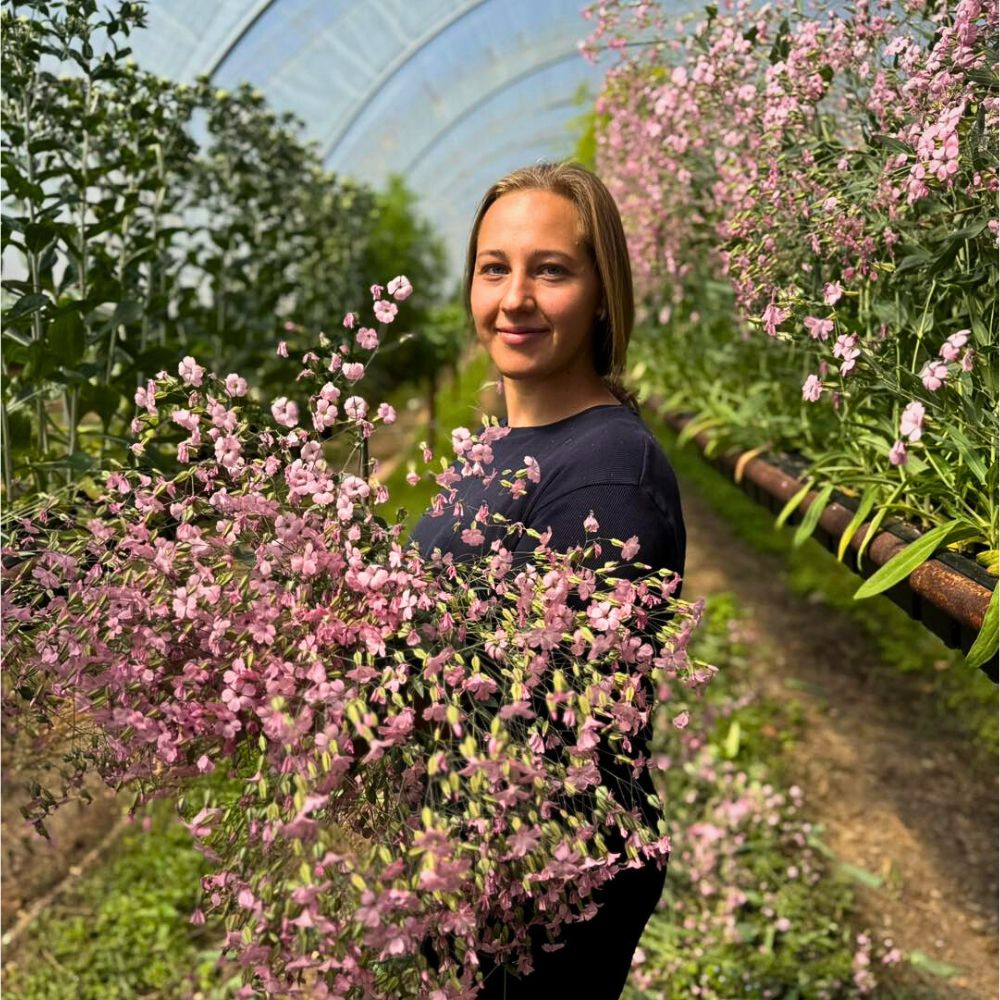 Flowers New Survey Funded by the American Floral Endowment’s (AFE) Sustainabloom Reveals Promising Trends in Sustainability Across the Floral Industry