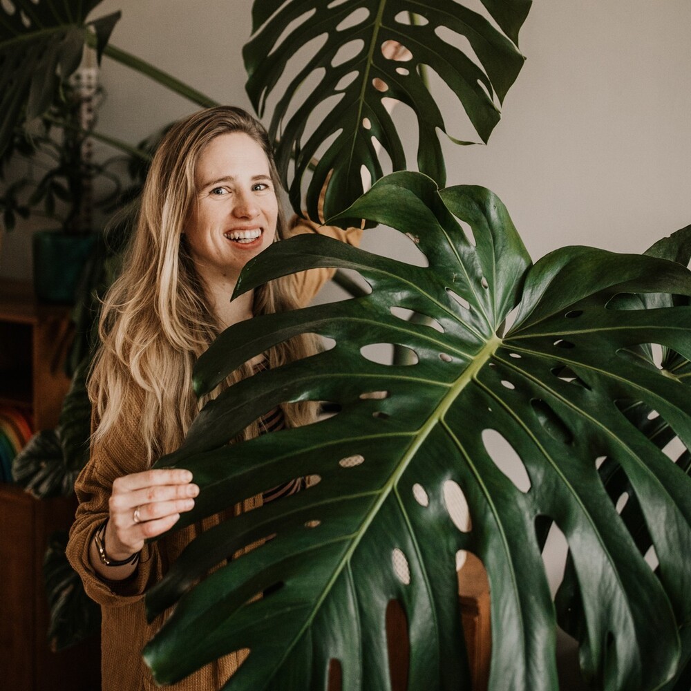 Lady with big leaf houseplant - Strelitzia Reginae Lady with big leaf houseplant - Strelitzia Reginae