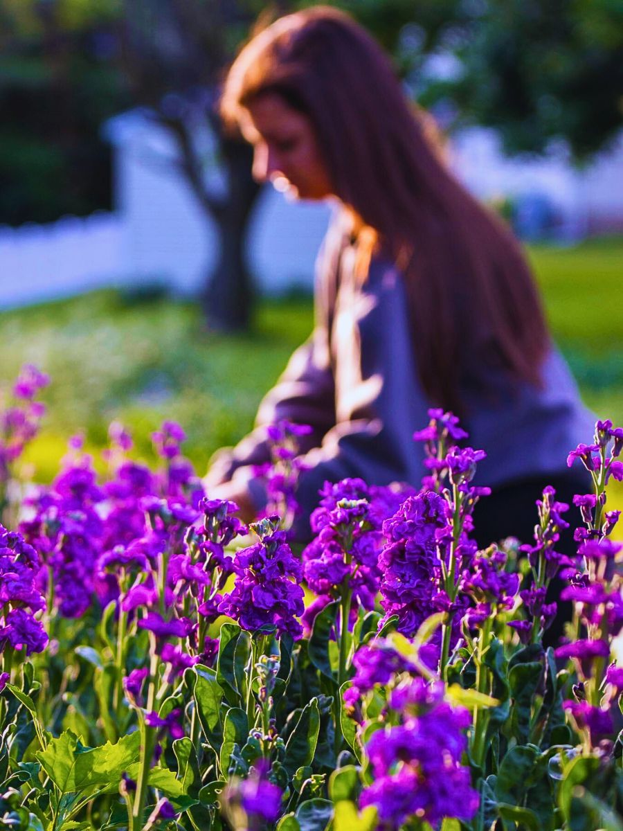 Flower farm New Survey Funded by the American Floral Endowment’s (AFE) Sustainabloom Reveals Promising Trends in Sustainability Across the Floral Industry