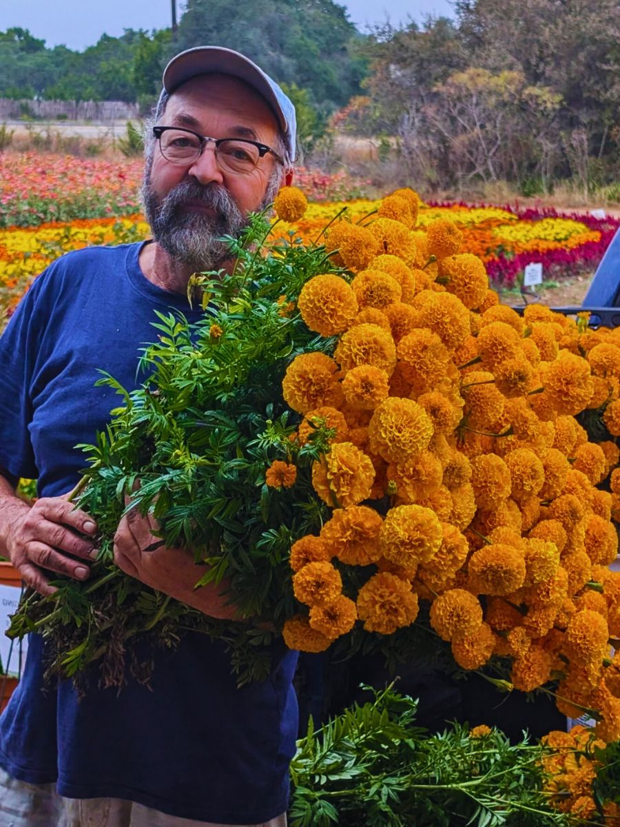Marigold New Survey Funded by the American Floral Endowment’s (AFE) Sustainabloom Reveals Promising Trends in Sustainability Across the Floral Industry