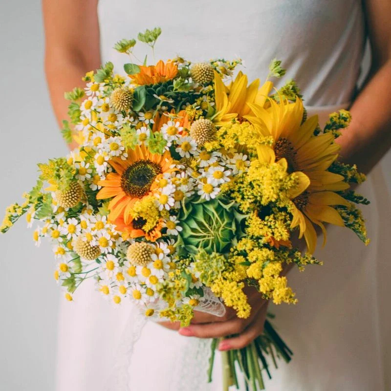 Chrysal’s Professional Care Tips to Keep Your Helianthus Fresher for Days Longer