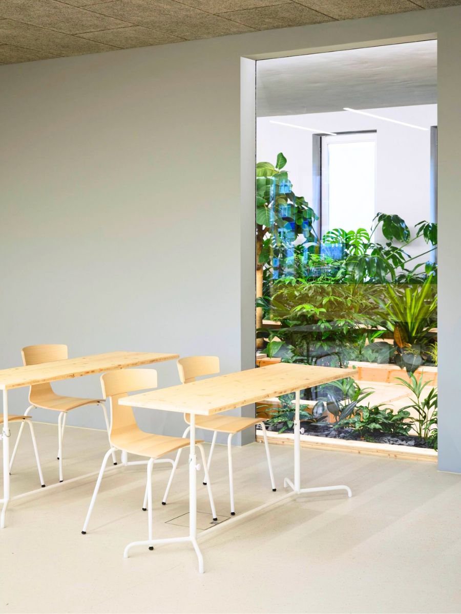 Desks surrounded by glass and natural indoor plants Desks surrounded by glass and natural indoor plants