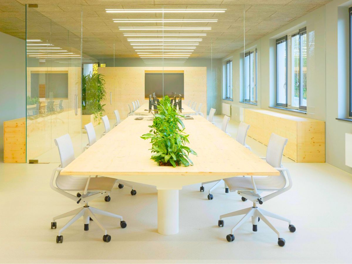 Center stage plants in the middle of a big office table