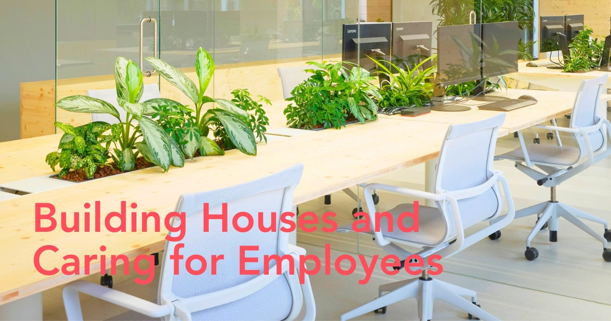 Plants in an office