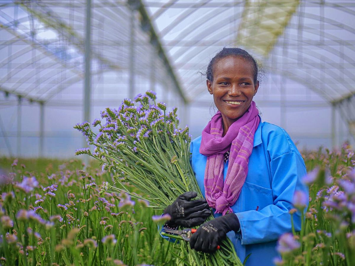 Flower farm employee Employee Continued Education Is a Prerequisite for Sustainable Floriculture
