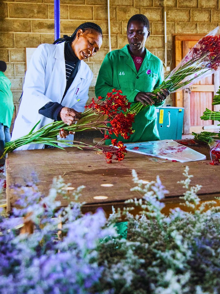 Flower farm staff Here’s Why Employee Continued Education Is a Prerequisite for Sustainable Floriculture