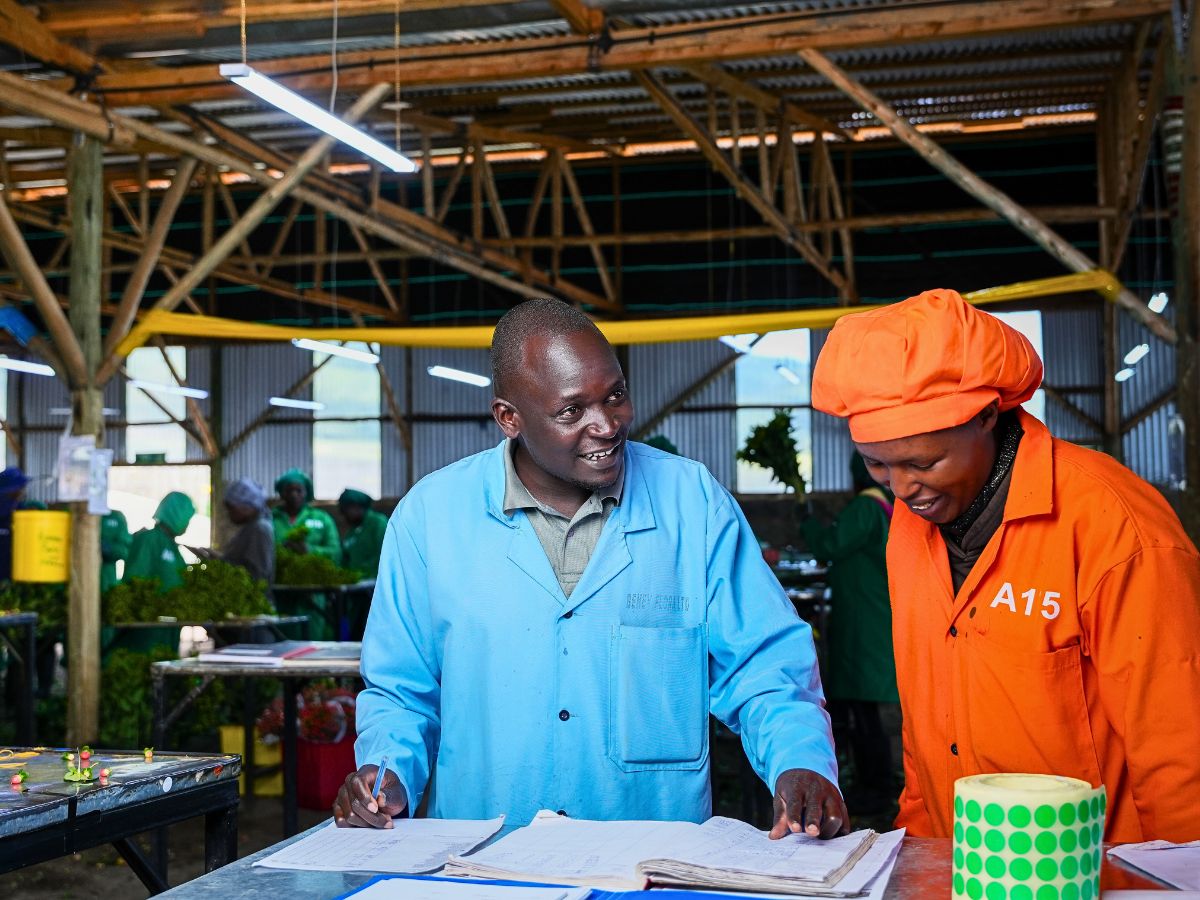 Flower farm staff Here’s Why Employee Continued Education Is a Prerequisite for Sustainable Floriculture