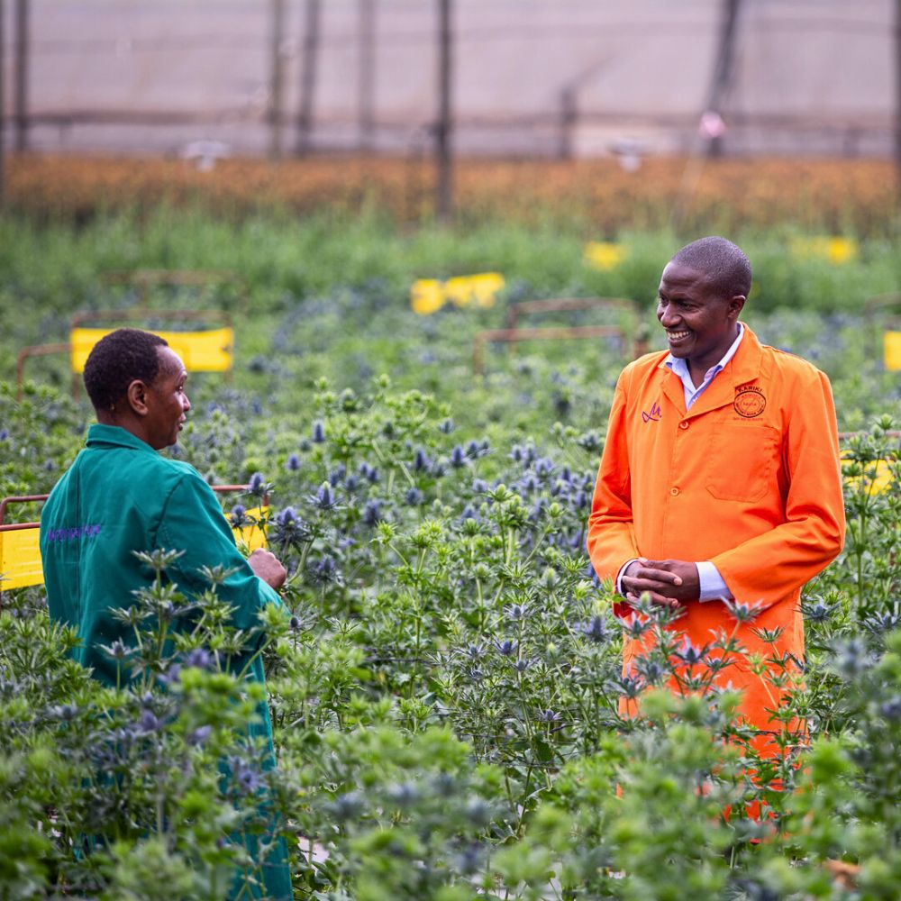 Flower farm employees Why Employee Continued Education Is a Prerequisite for Sustainable Floriculture
