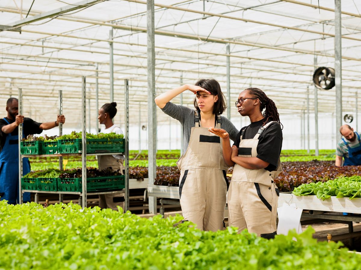 Greenhouse cultivation Why Employee Continued Education Is a Prerequisite for Sustainable Floriculture