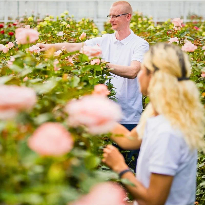 Why Employees’ Continued Education Is Essential for Sustainable Floriculture.