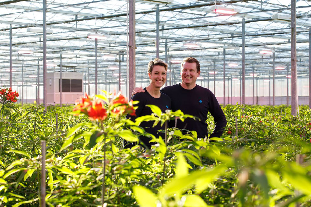Karolien and Rick Tesselaar in their Luttelgeest greenhouse Karolien and Rick Tesselaar in their Luttelgeest greenhouse