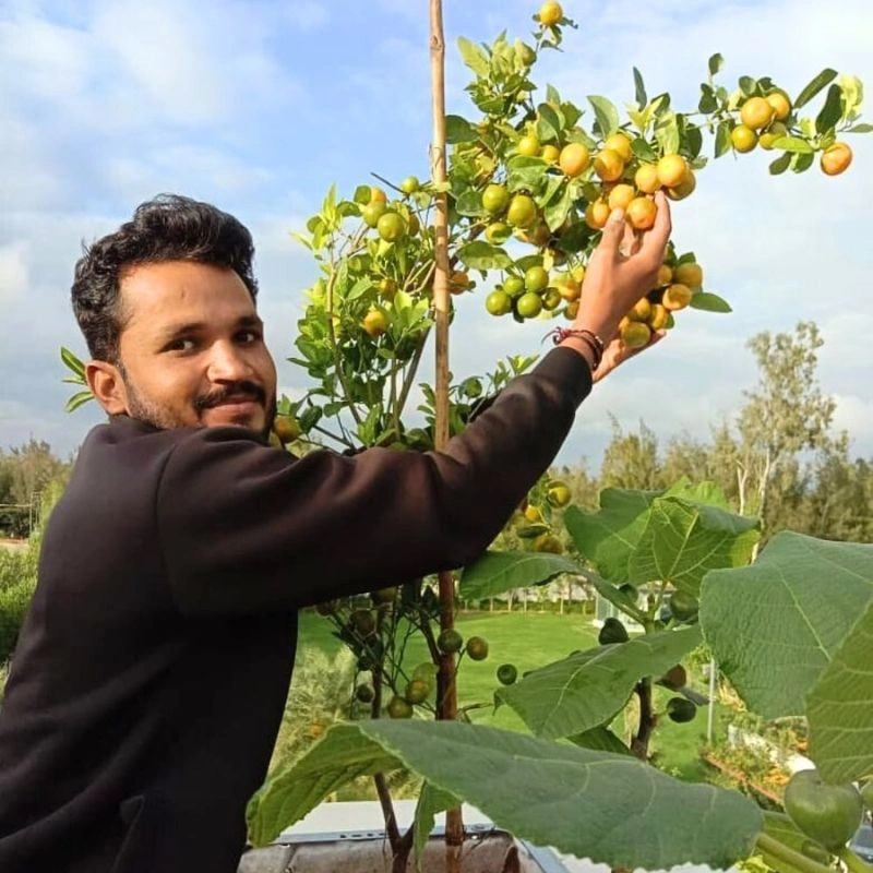 Fruit Garden