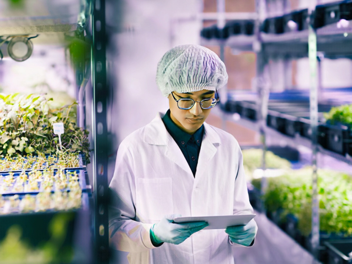 PlantScout used in a lab by young man