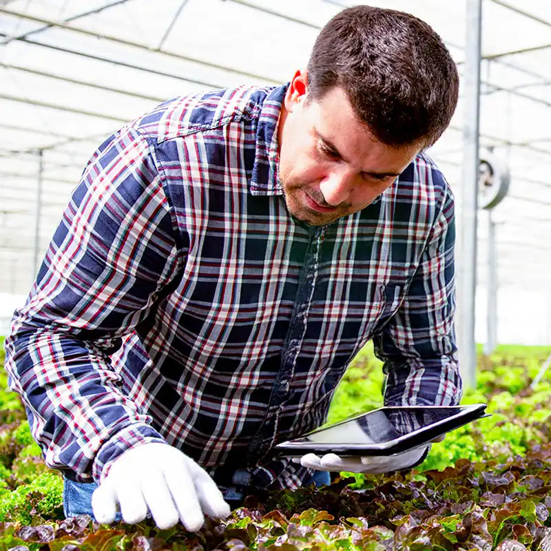 PlantScout tool in the field