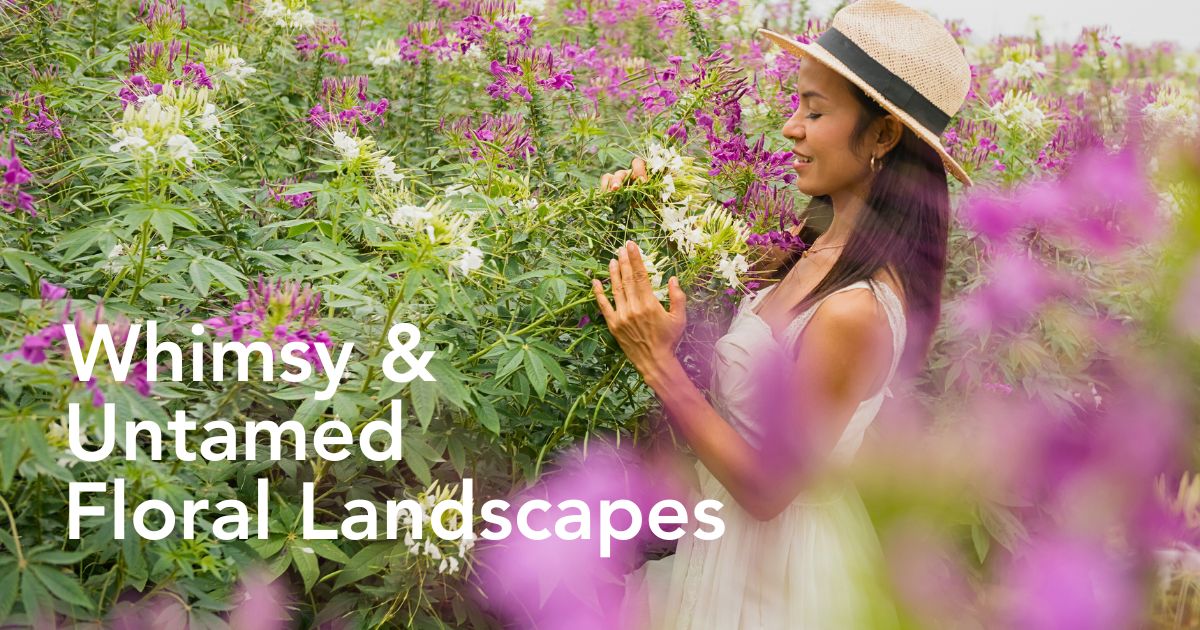 Wildflower Gardens Offer Not Just Aesthetics but Health, Environment, and Biodiversity Benefits