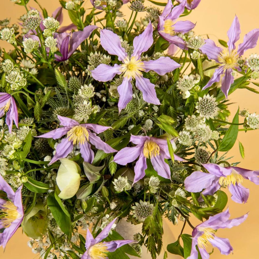 Clematis Amazing London mixed design by florist Hanneke Frankema Pink Flowers