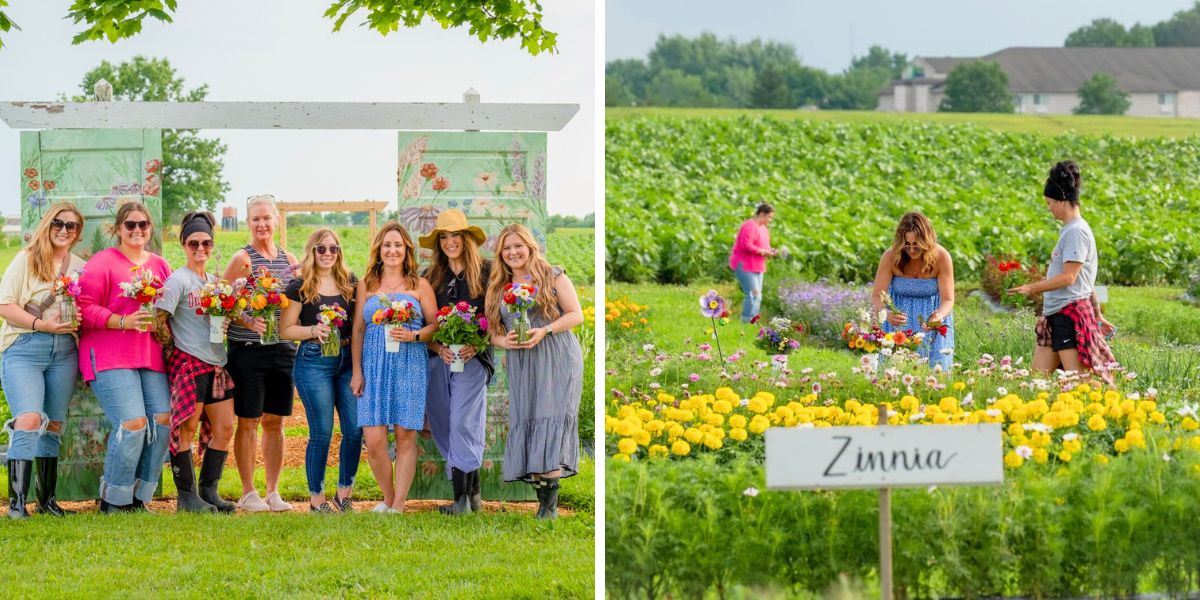 Ohio Flower Girls U Pick flower season Ohio Flower Girls U Pick flower season