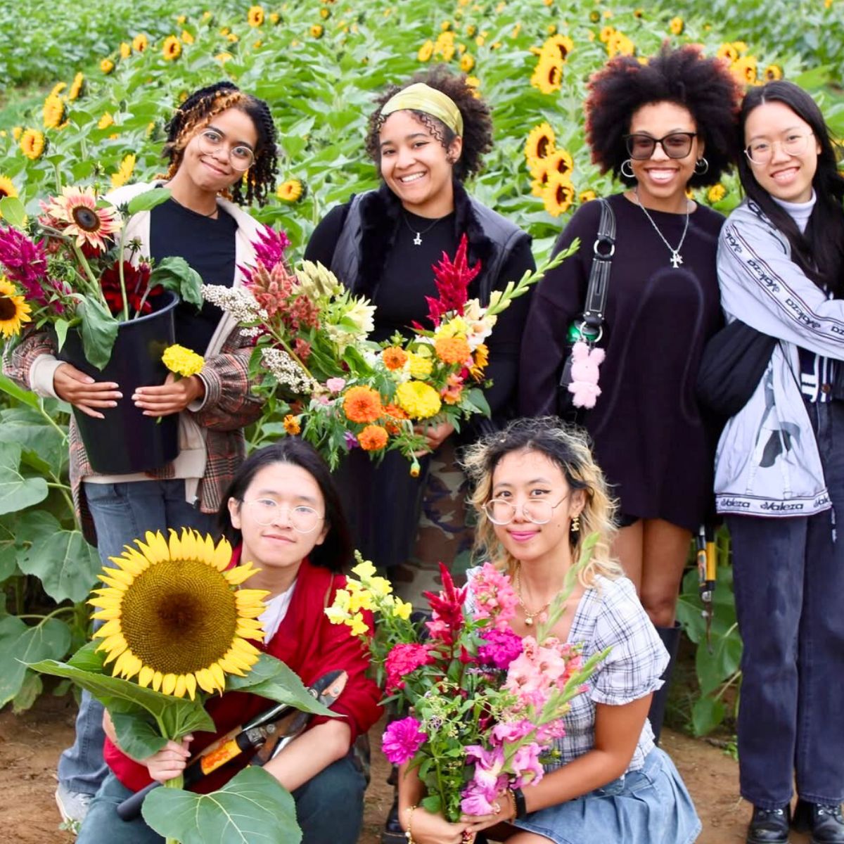 Holland Ridge Farms flower picking in group Holland Ridge Farms flower picking in group