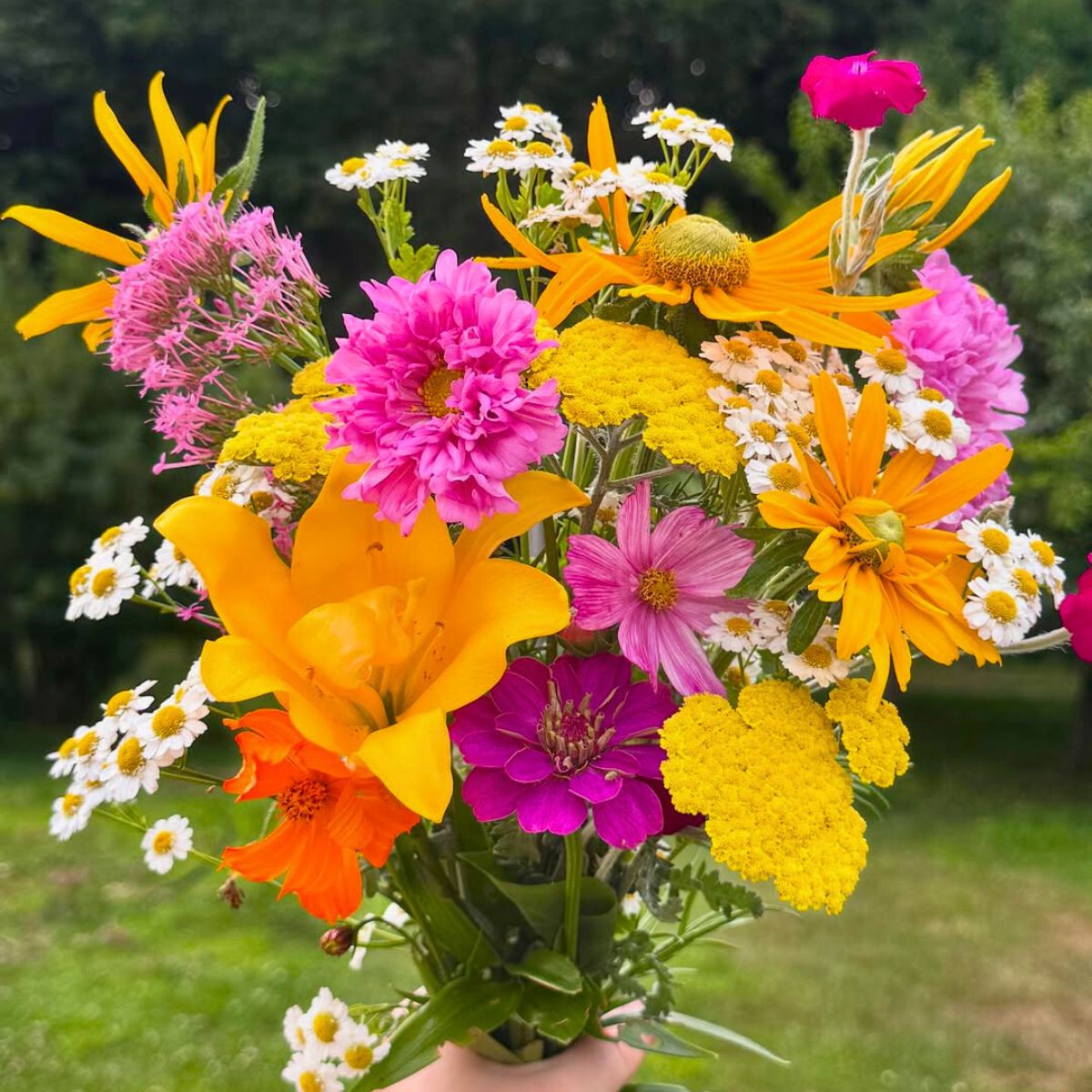Frogmore flower picking for summer Frogmore flower picking for summer