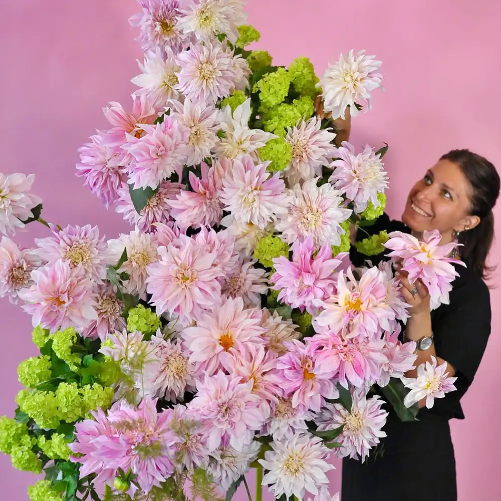 My Dahlia Society grower in Thursd feature