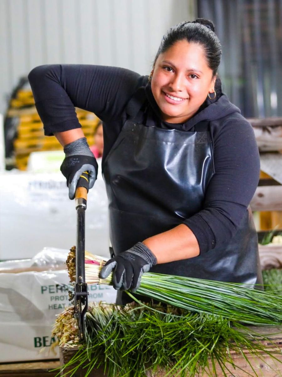 Continental Floral Greens worker cutting beargrass Continental Floral Greens worker cutting beargrass