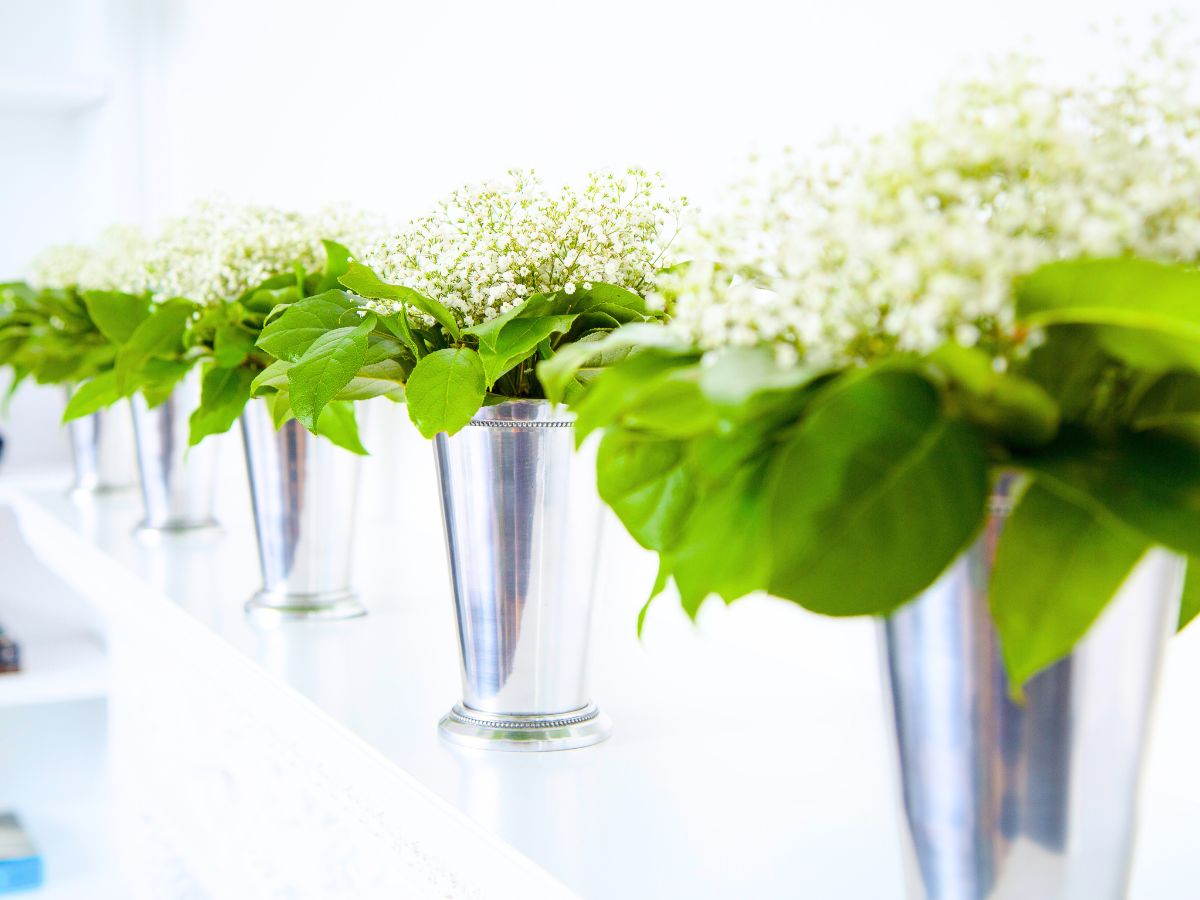 Salal mixed with gypsophila by CFG Salal mixed with gypsophila by CFG