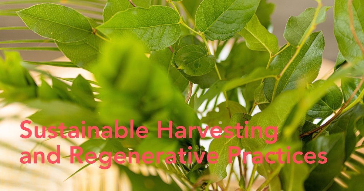 Sustainable harvesting by CFG