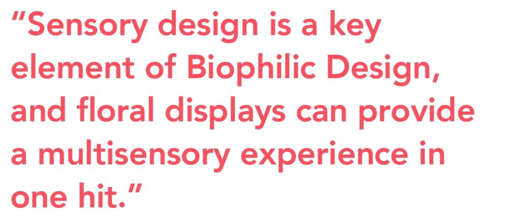 Biophilic Design sensory Vanessa Champion quote