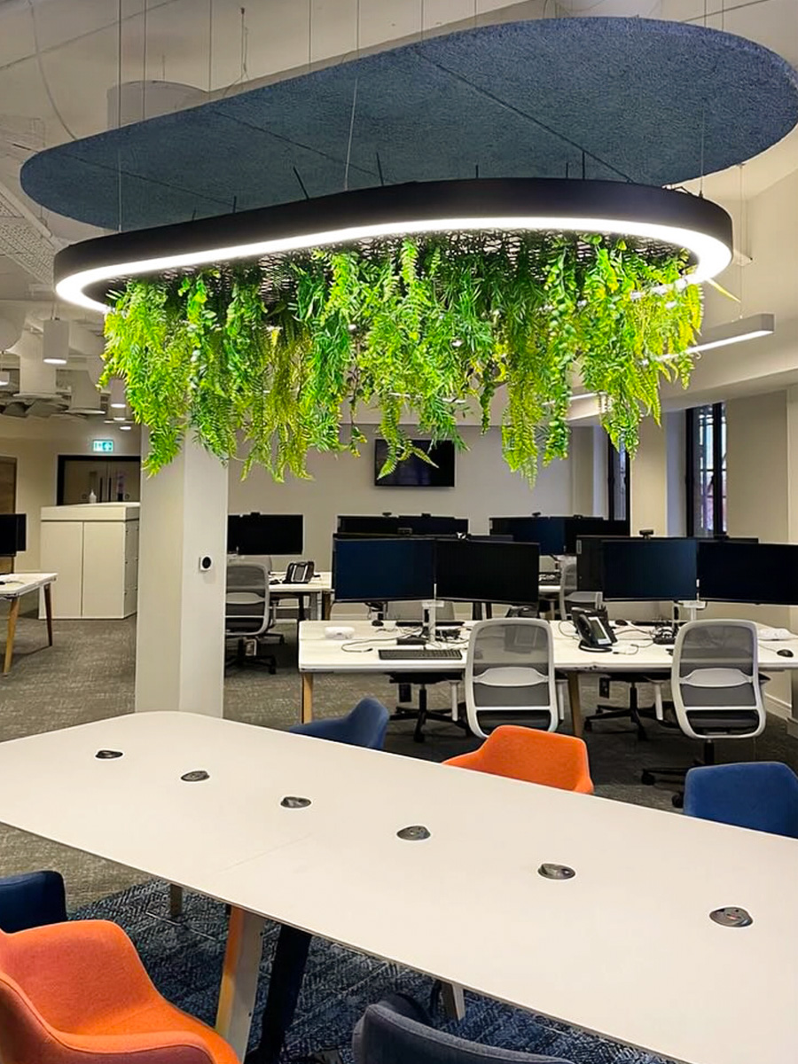 Journal of Biophilic Design ferns design in an office