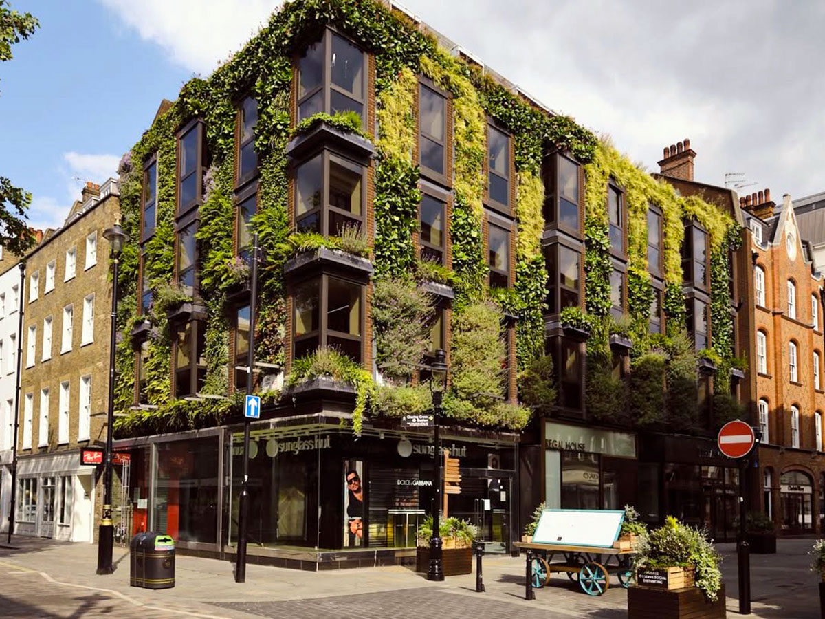 Biotecture wall installation covent garden by Tom Shaw Photography Biotecture wall installation covent garden by Tom Shaw Photography